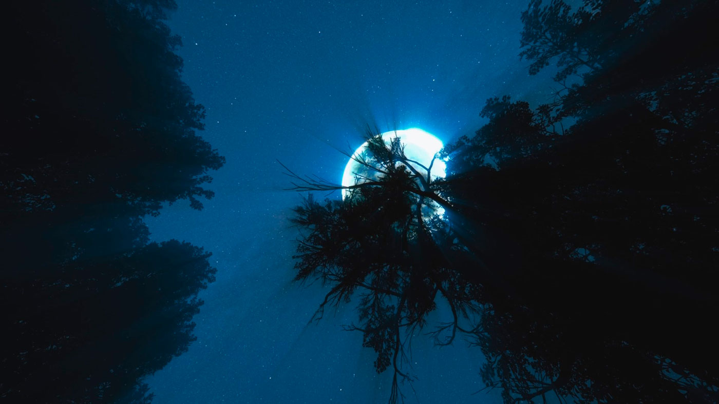 Dani Mystery Zone x Lüüls Lab auf der Contemporary Art Ruhr Photo / Media Kunstmesse